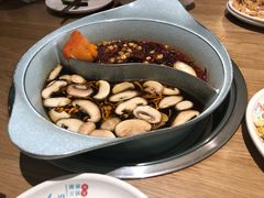 -青瓷火锅料理(西单大悦城店)