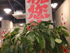 -老方桌烂蹄花川菜馆(九龙坡店)