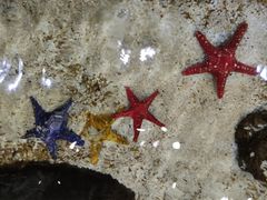 -顺德南宏海立方海洋公园