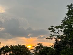 -凤岭儿童公园
