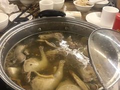 -百利鸽王(紫薇路店)