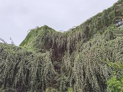 -成都当代影像馆