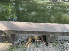 -西园戒幢律寺