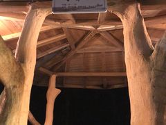 -天门沟九州驿站树上汤泉