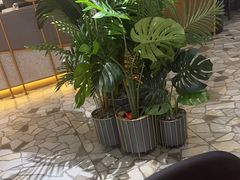 -烟火鱼乡(京华城店)