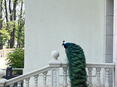 -西昌邛海宾馆