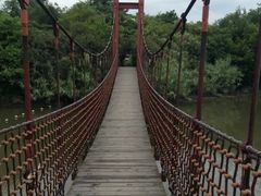 -吴淞炮台湾湿地森林公园烧烤区