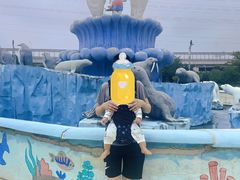 -芜湖新华联大白鲸海洋公园