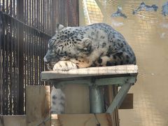 -青藏高原野生动物园