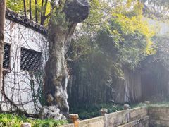 -惠山古镇·寄畅园