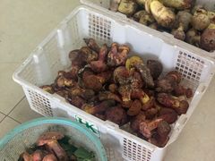 -双喜农庄·菌香园(安居家园店)