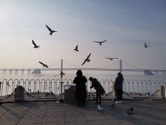 -星海湾跨海大桥