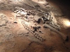 iphone_upload_pic-世界恐龙谷景区