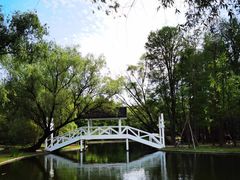 -上海共青森林公园