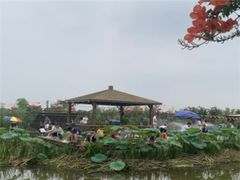 -同銮特种养殖场·龙虾垂钓