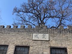 -桃花堤公园