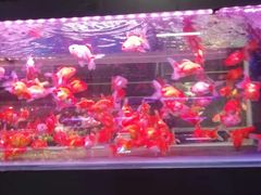 -三旗百汇商品城