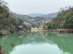 -洪崖丹井