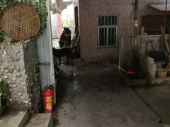 -洞背山庄(洞背院区式管理小区店)