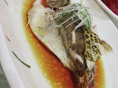 -泓历皇朝酒店(东亭店)