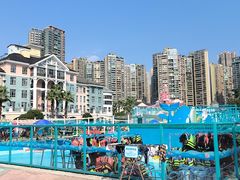 -海合安成都极地海洋公园