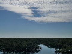 -北海金海湾红树林生态旅游区