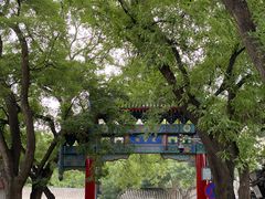 -北京国子监胡同