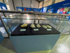 -上海海洋大学鱼文化博物馆(军工路校区)