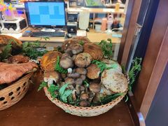 -滇铺子·云南特色菜·第九届野生菌美食节(曲靖万达店)