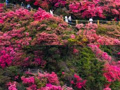 -木兰云雾山