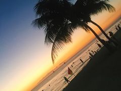 -白沙滩