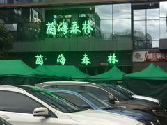 -菌海森林·非遗野生菌火锅(西山区滇池路摩根道店)