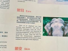 -野象谷景区