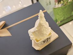 -野人先生现做冰淇淋(北京王府井东方新天地店)