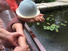 儿童活动&nbsp;钓鱼-三亚亚龙湾雅高美爵酒店