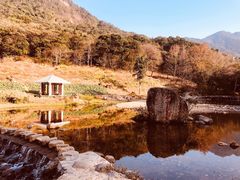 -广州市石门国家森林公园