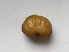 -高记福桂桂花糖炒栗(鼓楼店)