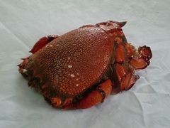 -华源餐厅·海鲜大排档(日月贝店)