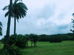 -鹅銮鼻公园