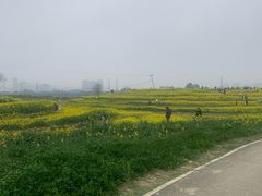 -三圣花乡旅游区