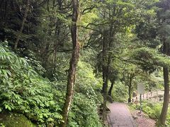 -西岭雪山大飞水景区