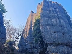 -山王坪喀斯特国家生态公园