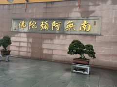 -九华山风景区
