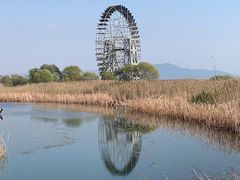 -苏州太湖湖滨国家湿地公园