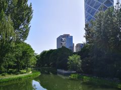 -大望京公园