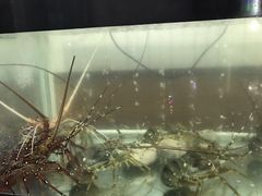 -QQ海鲜餐厅