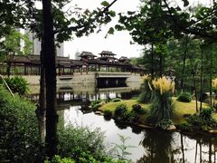 -重庆彩云湖湿地公园