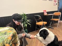 -72 COFFEE(东朝阳路店)
