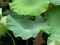 -千龙湖生态旅游度假区