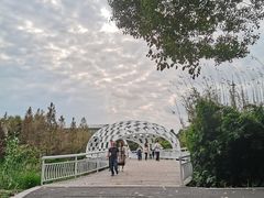 -同里国家湿地公园